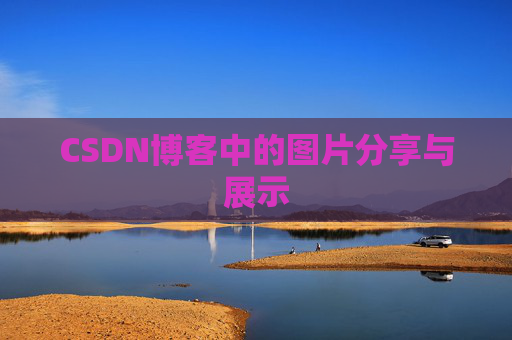 CSDN博客中的图片分享与展示